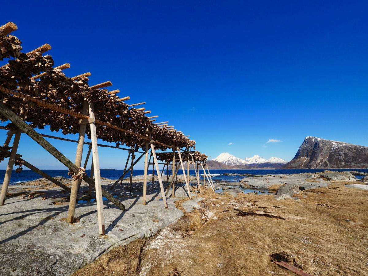 Midnight Sun View Lofoten Leknes Luaran gambar